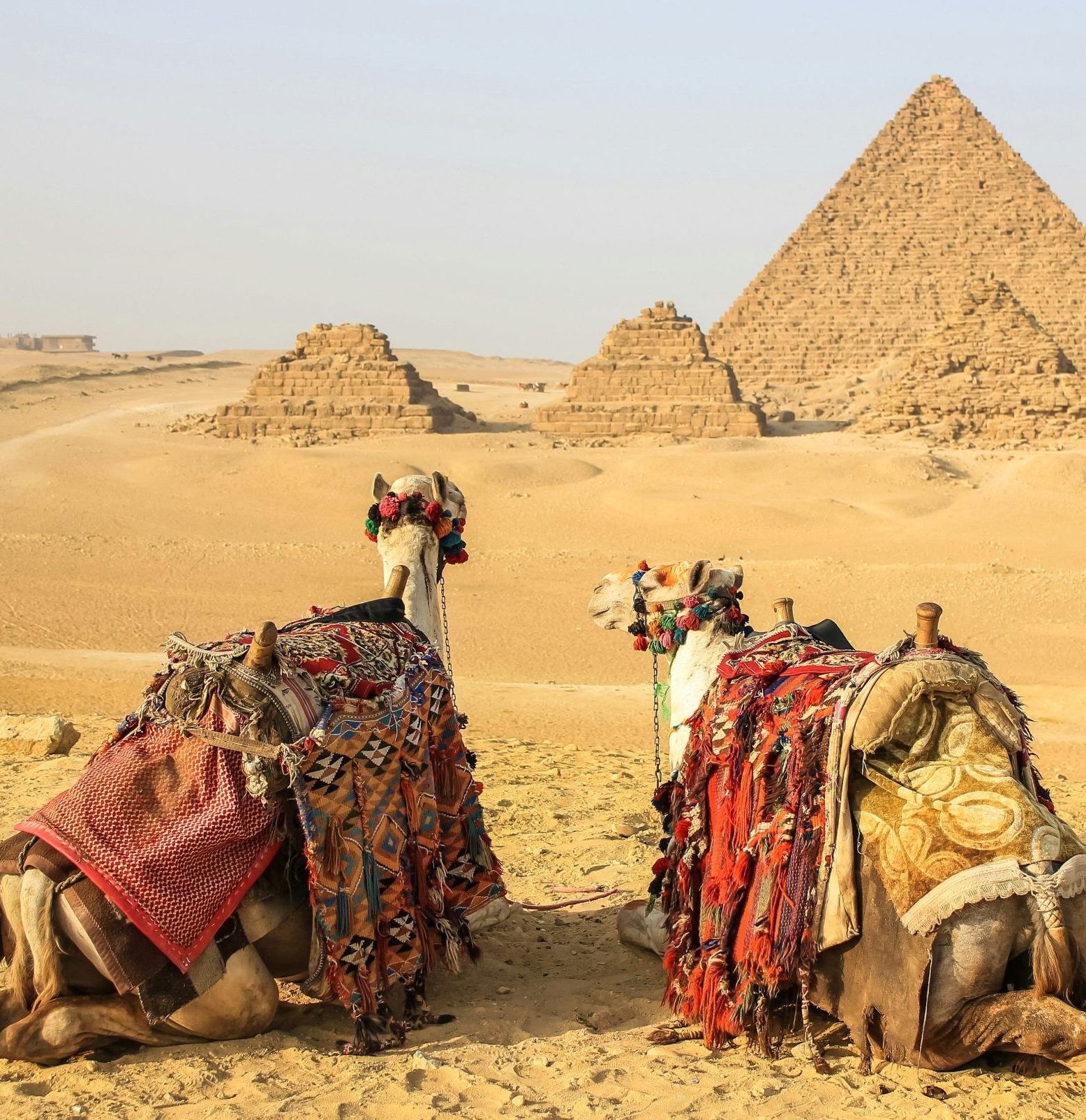 Tour Privado El Cairo