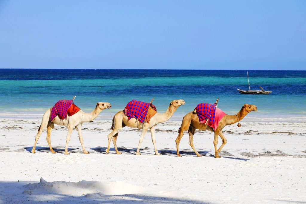Excursión a Isla Paraíso en barco desde Hurghada