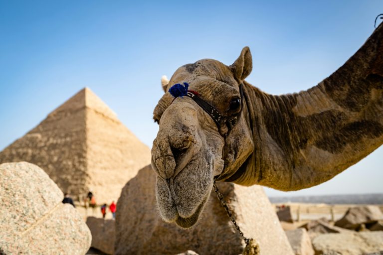 Tour El Cairo Egipto