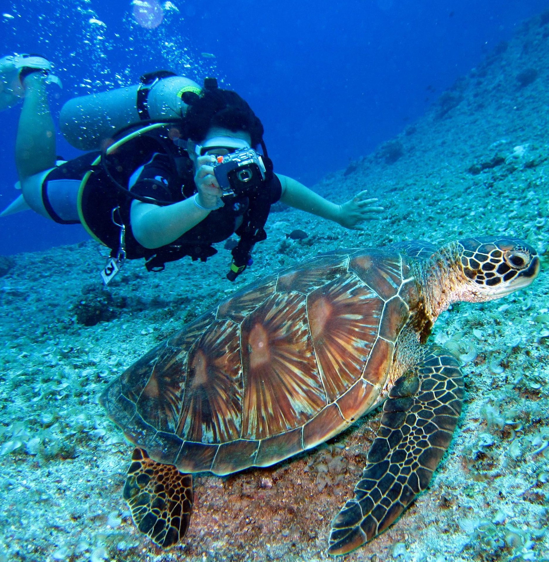 Snorkel en Hurghada