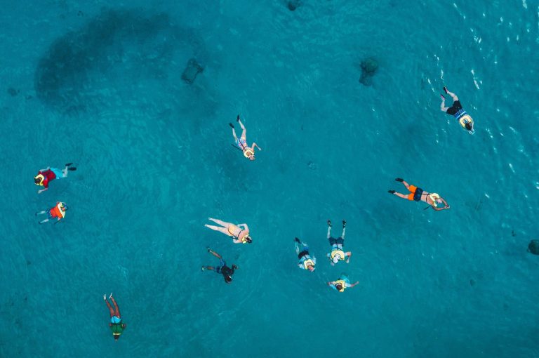 snorkel con tortugas