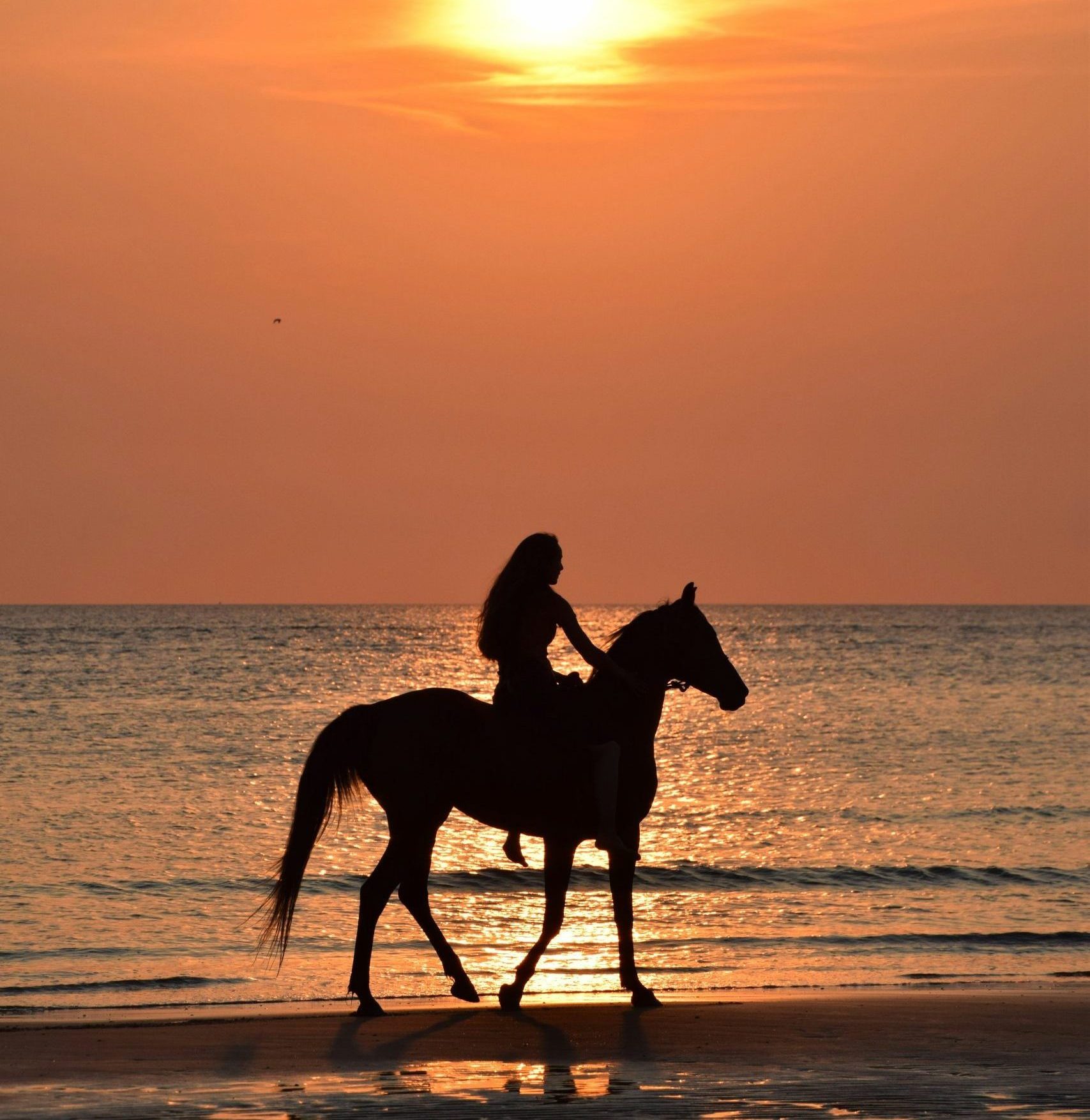 Paseo a caballo hurghada egipto